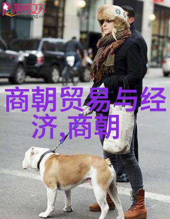 江山美玉揭秘明朝的辉煌与荣耀