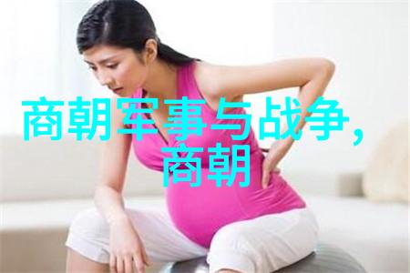 华夏古韵明朝的年号篇章
