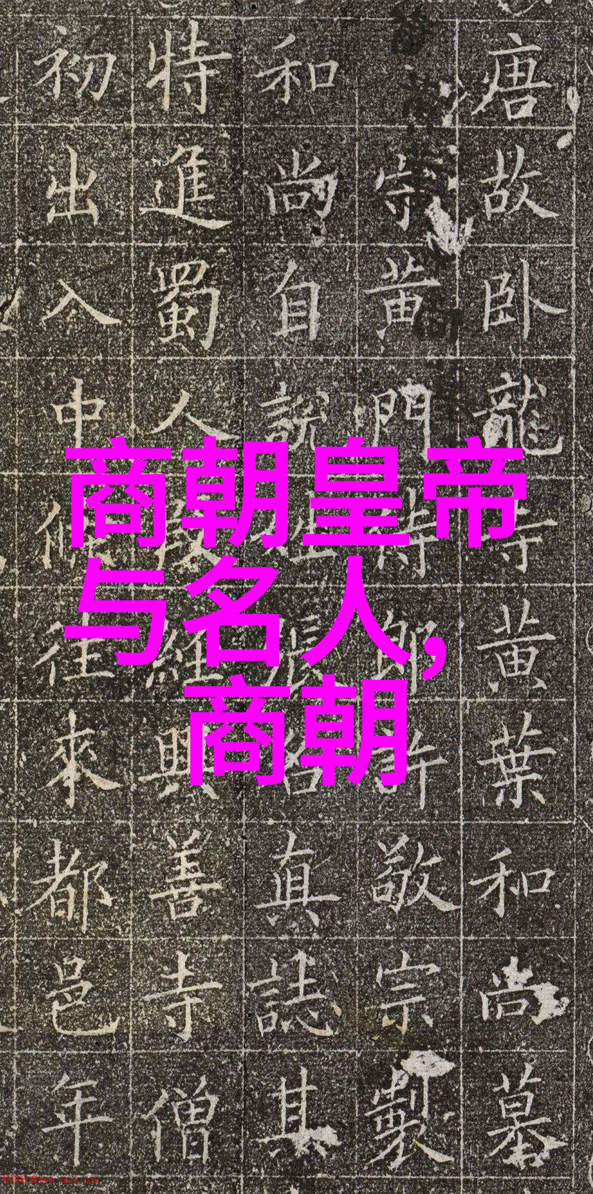 特务搜查官风子