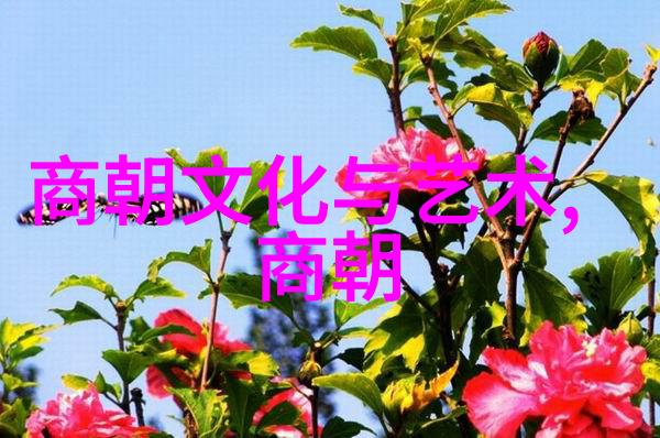 趣闻轶事集锦古代奇珍异兽现代科技奇迹历史上的误解与真相