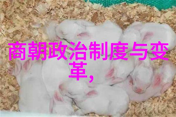 明军占领大都元朝灭亡的悲剧时刻