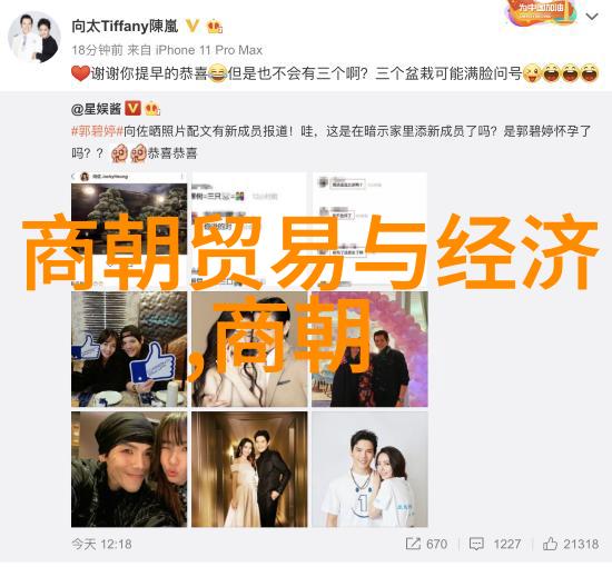 李自成起义军的智星牛金星简介犹如南朝宋时期的璀璨明珠闪耀着策略与谋略的光辉