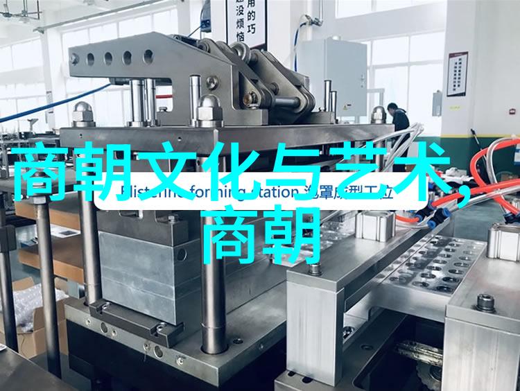 大明王朝映射问题-解读历史纹理探究大明王朝文化遗留中的映射难题