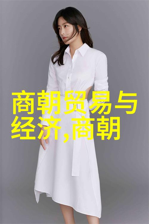 龙凤盛世明朝的辉煌与多彩