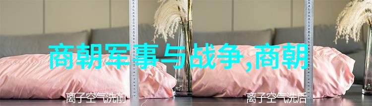 三国最聪明的人是谁从自然的角度探索耿弇智慧的光芒358年