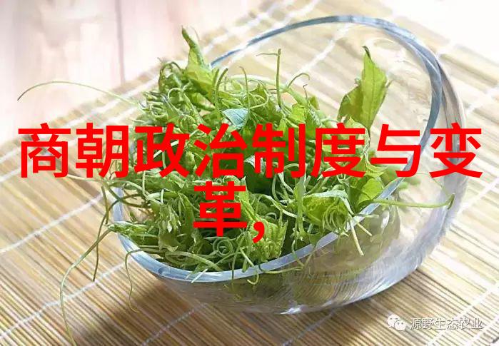 辉煌一代探秘元朝的历史奇迹与遗韵