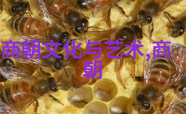 九十年一瞬明朝简介穿越时空的两大帝国