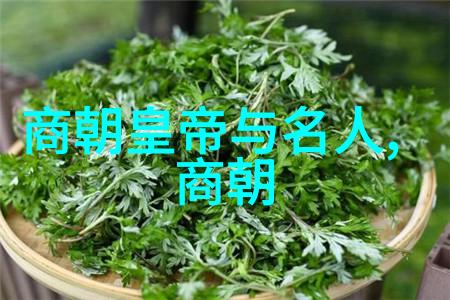 上海名人墨香传承文化名人网与临沂市工商联文化产业商会书画家一同品鉴古籍珍品