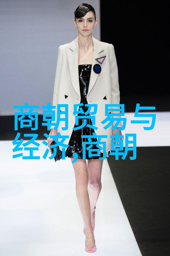 晋朝的辉煌与衰落一段历史的深刻探究
