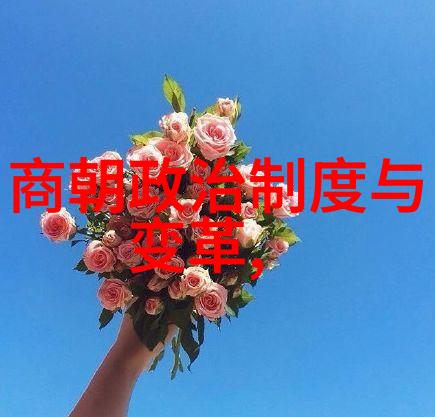 伴随时光变换明朝皇帝列表背后的故事和事件