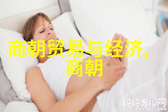 明朝那些事儿百科龙凤呈祥的岁月