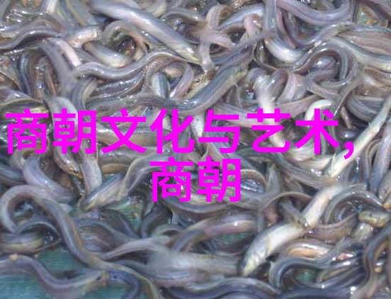晋朝后面一个朝代-南北朝的兴衰与文化交融