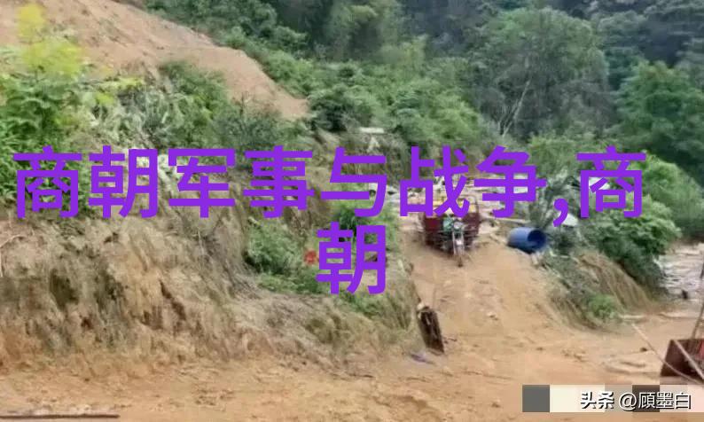 隋炀帝之子杨广英雄的影子