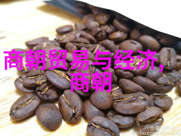 东晋的最后一次落幕北魏何以成为接班人