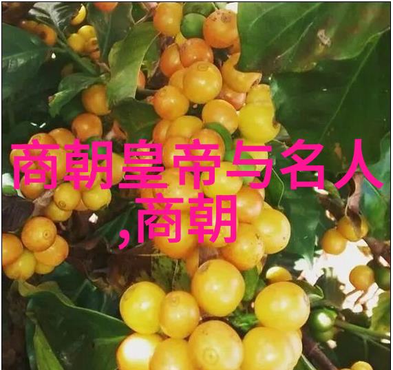 朝阳沟银环下山一段杨兰春豫剧剧作者导演工作者