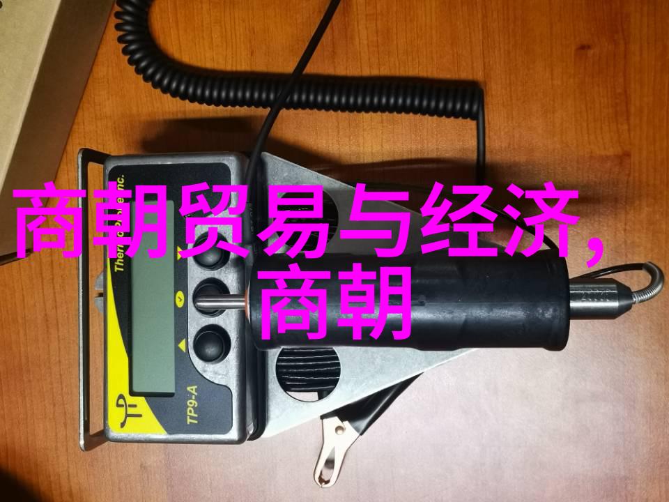 元朝饮食文化探究从蒙古族传统到汉化影响的美食演变