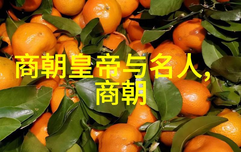 欧洲的战略谨慎明朝之所以成为不敢轻视的对手