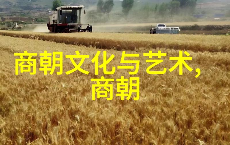 科技兴盛与艺术繁荣分析国人的对比中式复兴趋势
