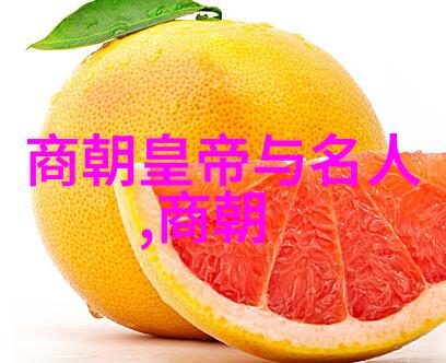 清朝皇帝与名人的文化互动与影响