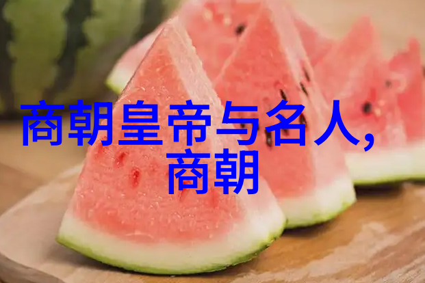 红楼梦里的血腥真相从亲生子到逆袭者一个君主的悲剧