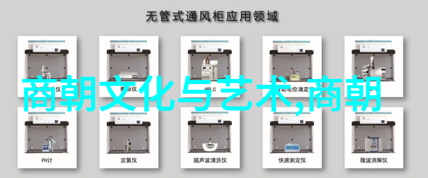 文化衰败与士人精神南宋末年的文化现象