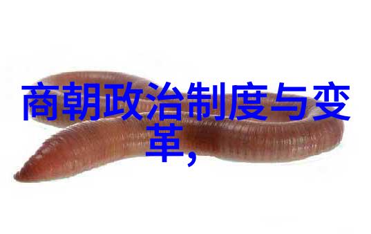 中国历史的朝代之旅探索数千年的变迁与辉煌