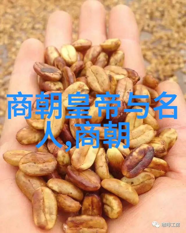 朝代轮回历史上的兴衰与变迁