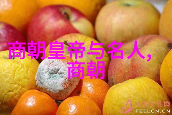 明朝那些事儿-时间的长河追溯明朝那些事儿出版年份的秘密