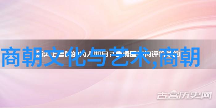 王建国学历犹如夜空中最亮的星辰照亮了知识的海洋