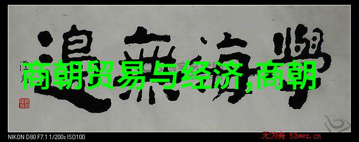 第四届黄梅戏艺术节严凤英的自然之韵盛会