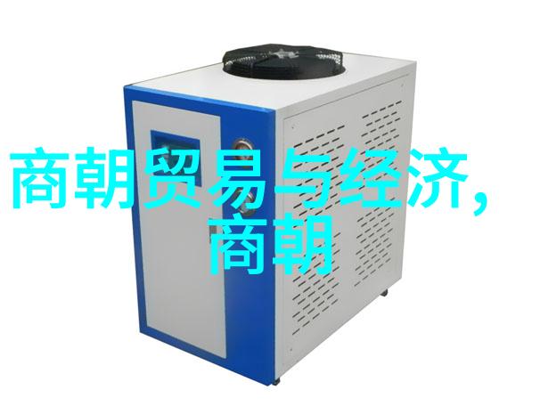 明代数学家与政治家的多面性探究