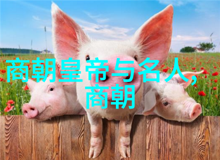 忽必烈蒙古帝国的征服与文明之光