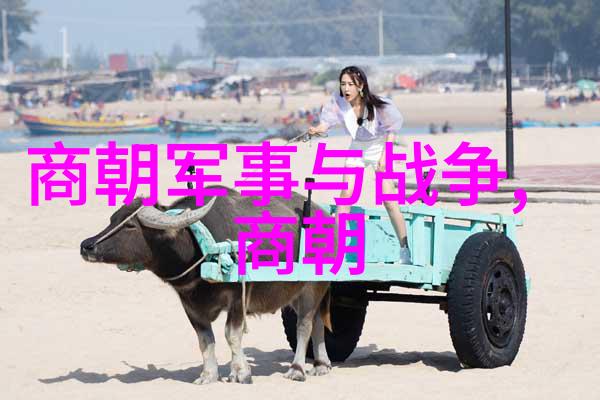 皇帝的醋意揭秘一场宫廷风波背后的真相