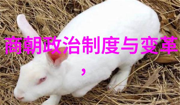 金銮殿下的孤鸿元朝历史中的寂寞守望者