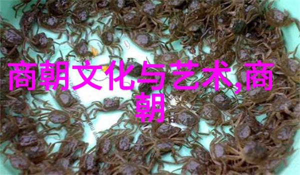 明朝荣耀帝王盛世的排行榜