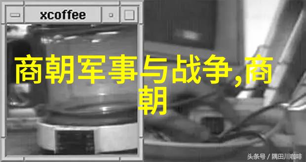 元顺帝北逃后的元朝历史-逆境中的重建从辽东到漠北的后金征服
