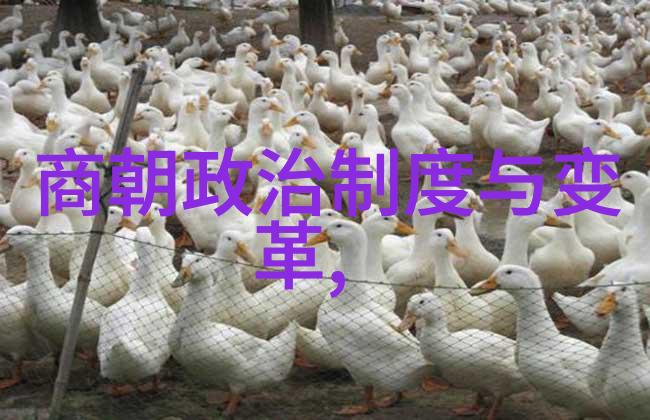赵兵伟豫剧票友曲剧全场戏大全全集