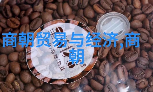 历史冲突-土木堡之战蒙古帝国的衰落与东亚秩序的重塑