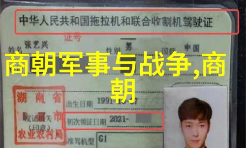 中国历史长河的变迁朝代序列图像探索