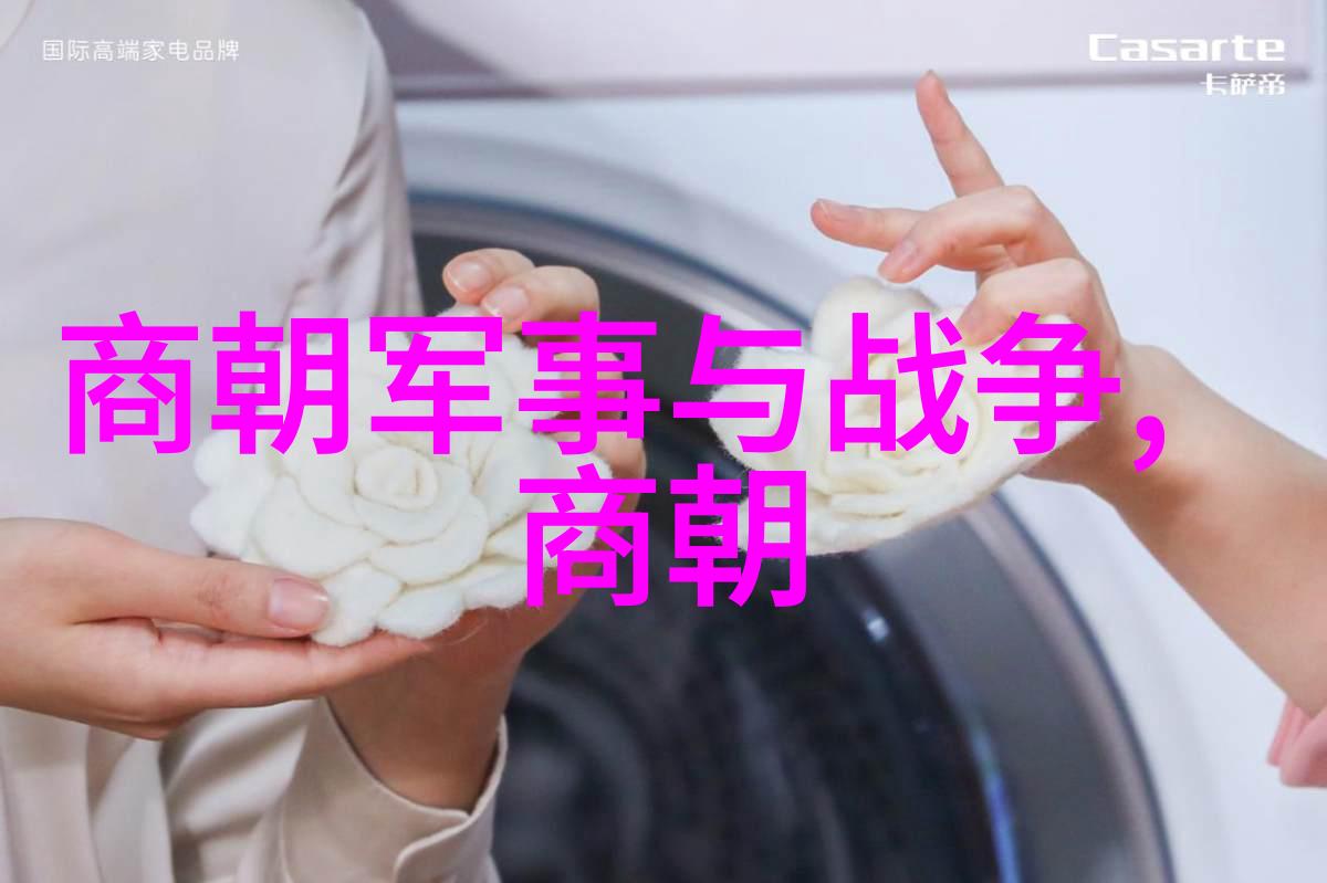 明朝那些事3中的神秘事件皇帝的失踪与宫廷的阴谋有着怎样的联系