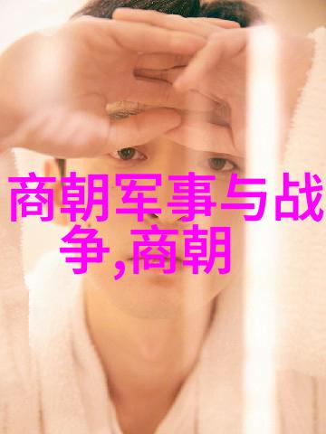 宋朝历史风云从北宋灭亡到南宋抗金的传奇岁月