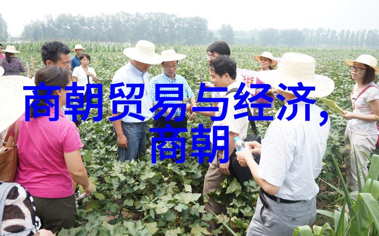 李抱一抗美援朝英雄记