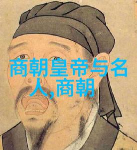历史探究-元朝征服与文化融合外族入侵还是和平统一