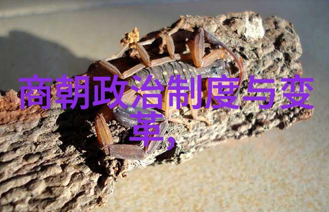 明朝那些事这类有声作品在推动文化传承方面扮演了什么角色