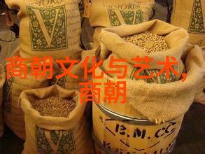 龙脉流变揭秘中国历史上的各个朝代及其年代