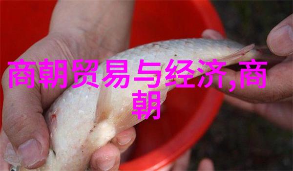 2022年最炽热的女子歌声2022中国女歌手排行榜
