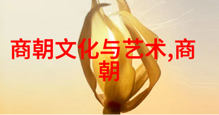 中国历史的各个朝代 - 历史长河中的辉煌与沉浮
