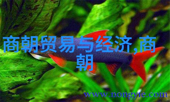 哪吒之战神归来哪吒的传奇故事