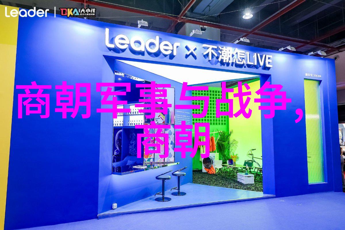清朝的盛世与衰败从康熙到光绪的兴衰之路
