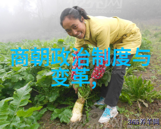 二年级寓言故事精选古老智慧的现代启示